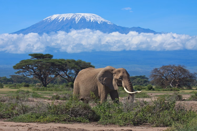 Quelles sont les meilleures activités en Tanzanie ?