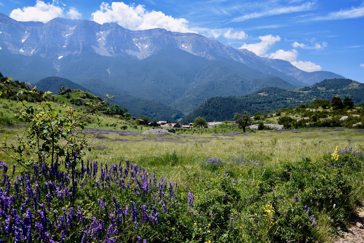 Exploring Europe's Natural Parks: Natural Treasures to Discover
