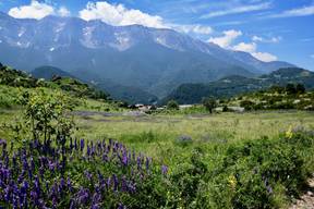 Exploration des Parcs Naturels d'Europe : Trésors Naturels à Découvrir