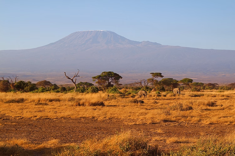Quelles routes emprunter pour grimper le Kilimandjaro ?