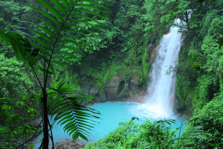 Goditi l'eccezionale biodiversità della Costa Rica