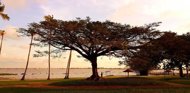 Los imprescindibles de Costa de Marfil
