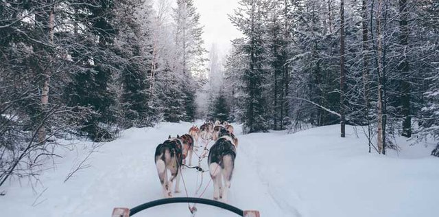 Finnland einmal anders entdecken