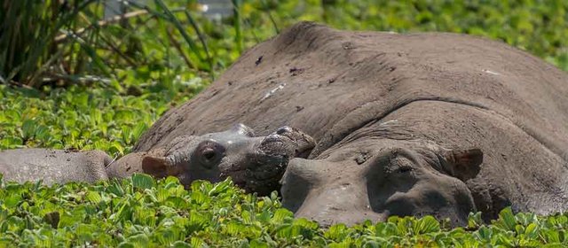 Explorar Tanzania de manera diferente