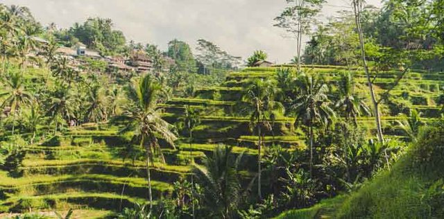 Must-See Attractions to Discover