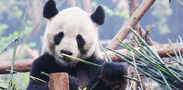 China auf eine andere Art entdecken