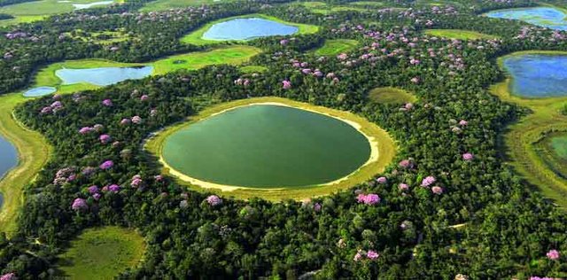 Ungewöhnliche Entdeckungen in Brasilien