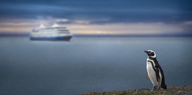Entdecken Sie Patagonien abseits der ausgetretenen Pfade