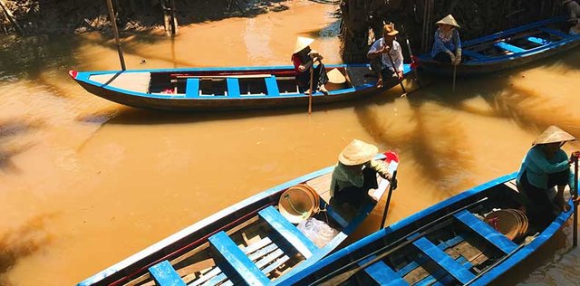 Ungewöhnliche Entdeckungen in Vietnam