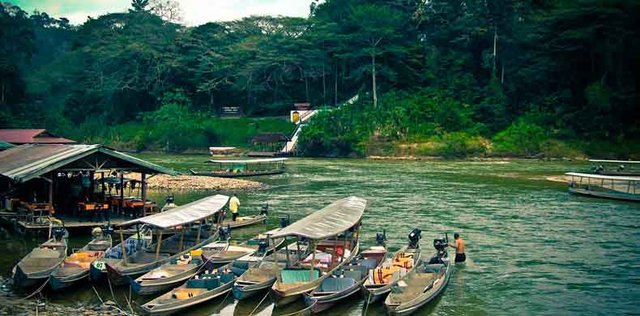 Esplora la bellezza nascosta della Malesia