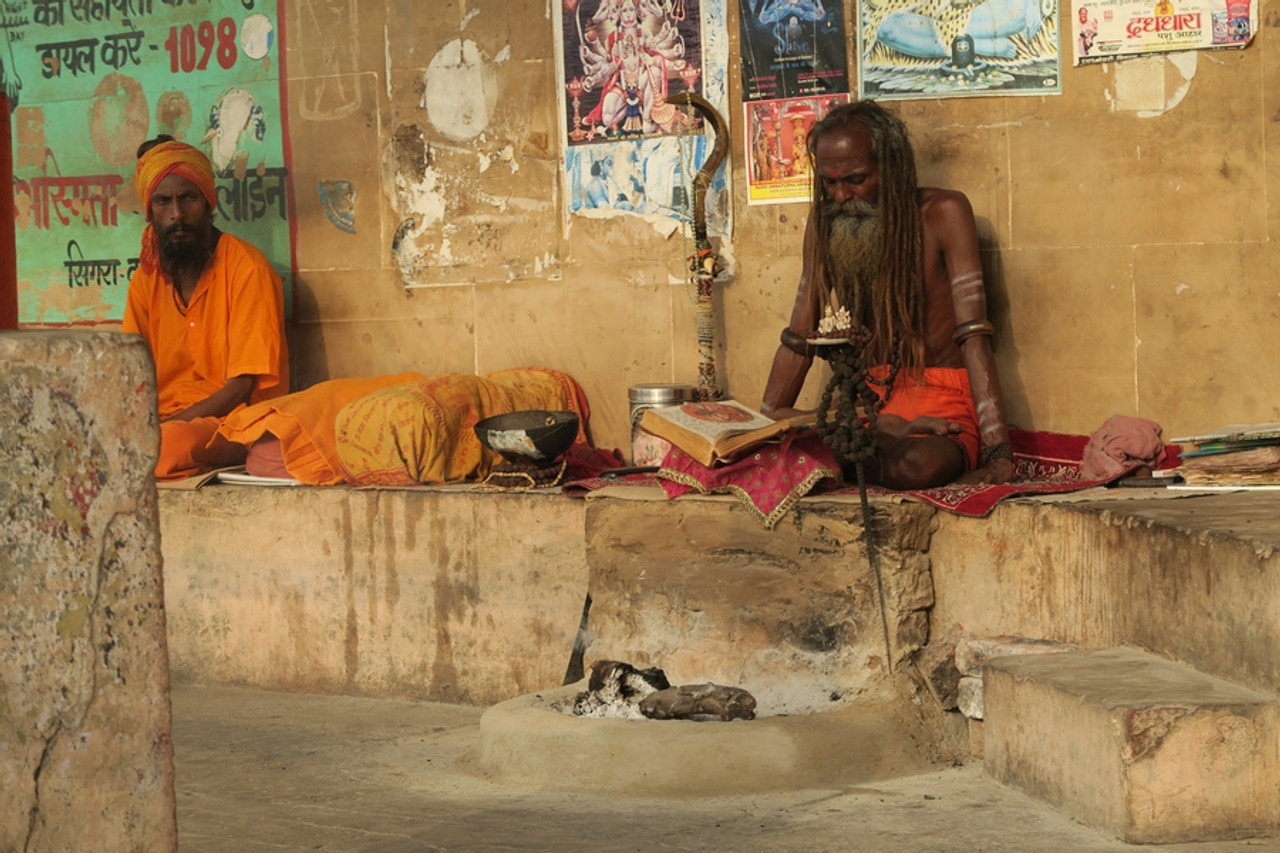 Découverte du Rajasthan, tigres et temples érotiques