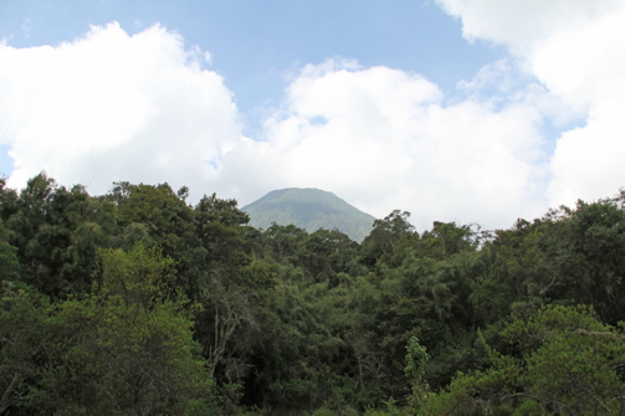 Mt Mgahinga NP