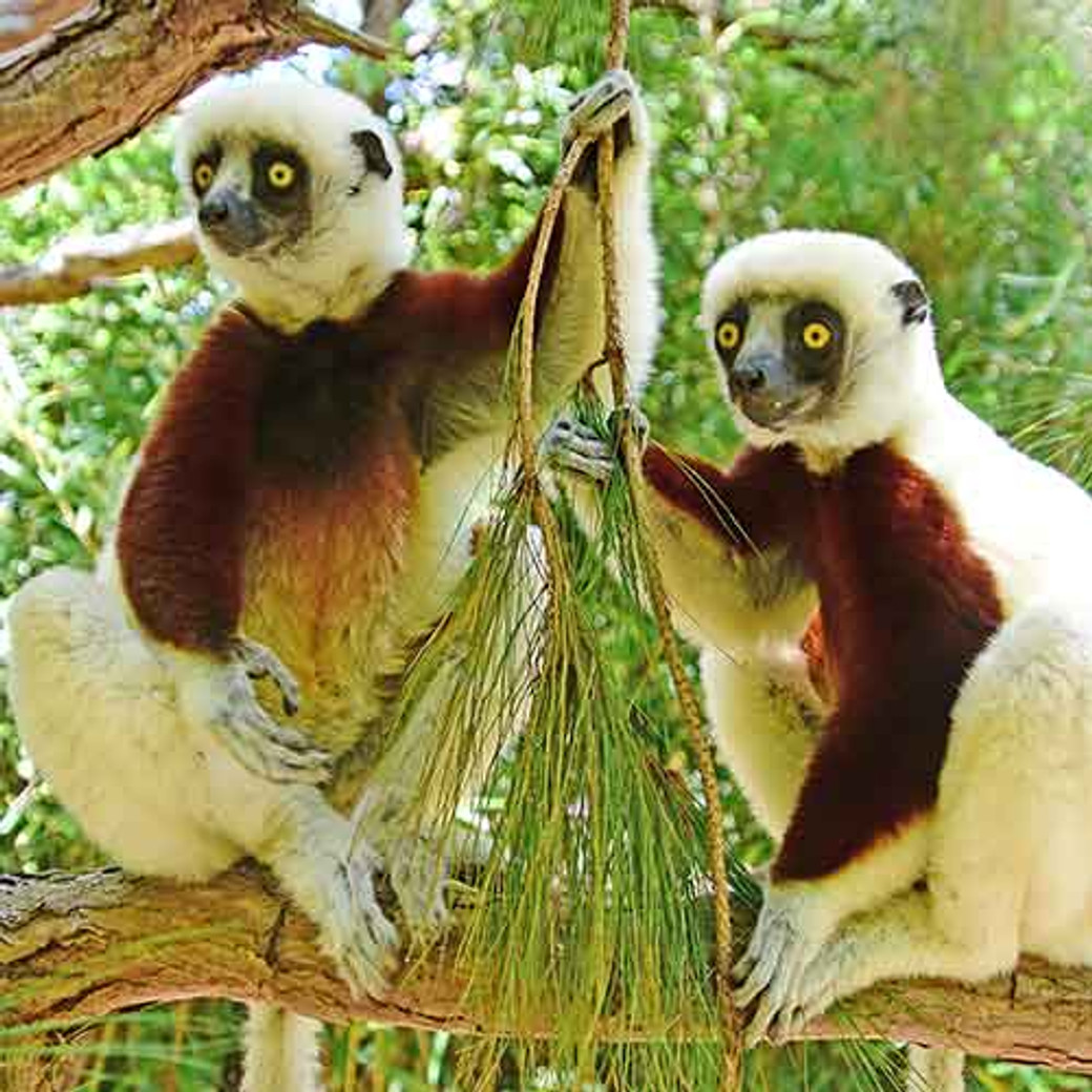 15 jours dans le sud-ouest de Madagascar
