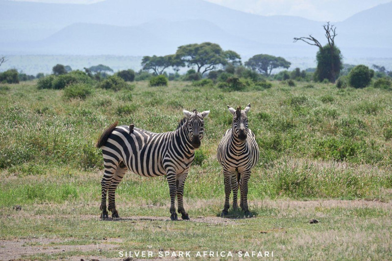 4-Day Game Maasai Mara with Lake Naivasha Geographical