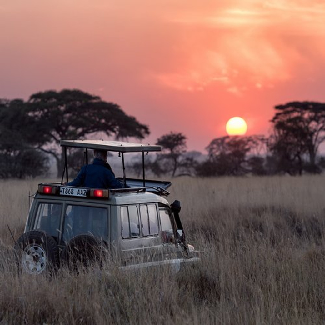 Safari des incontournables en 6 jours