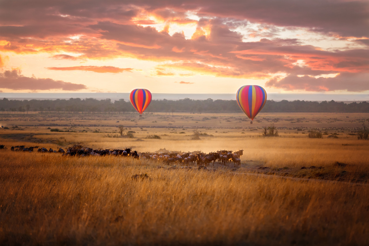 6 jours - Kenya Majestic Private Safari