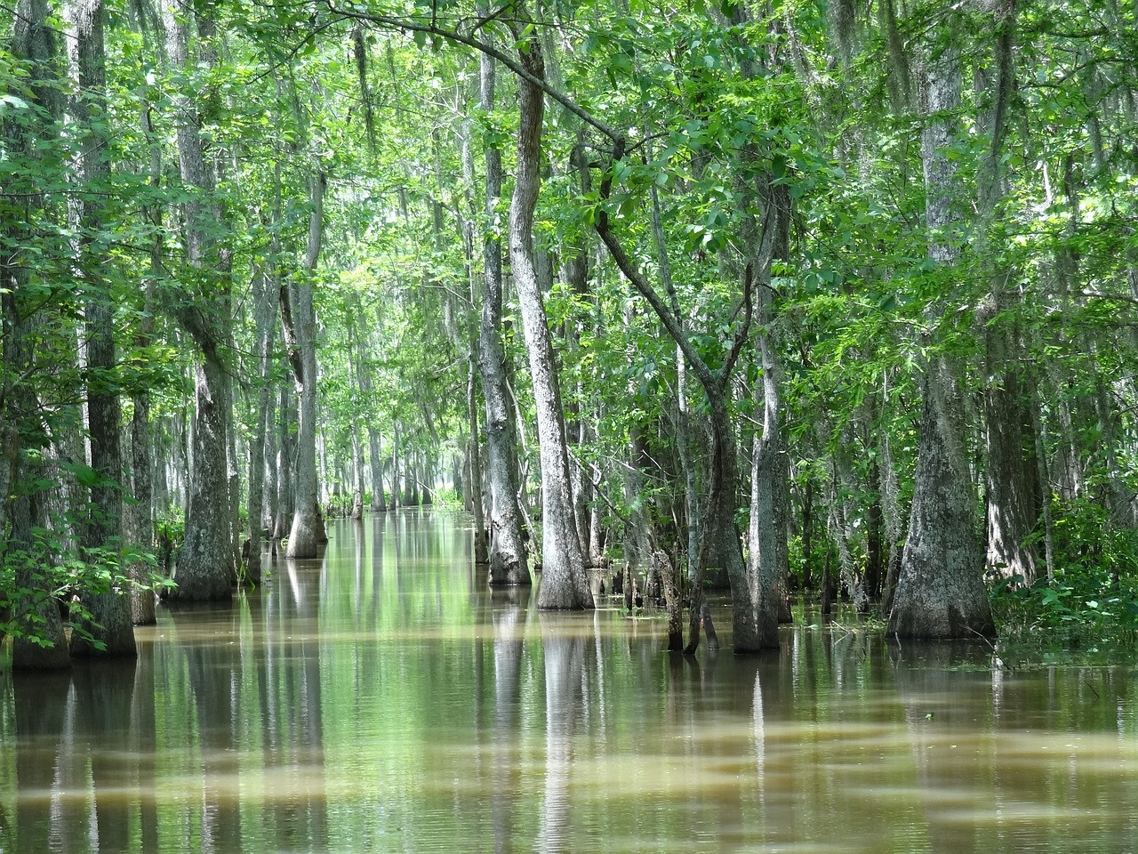 Les incontournables de la Floride