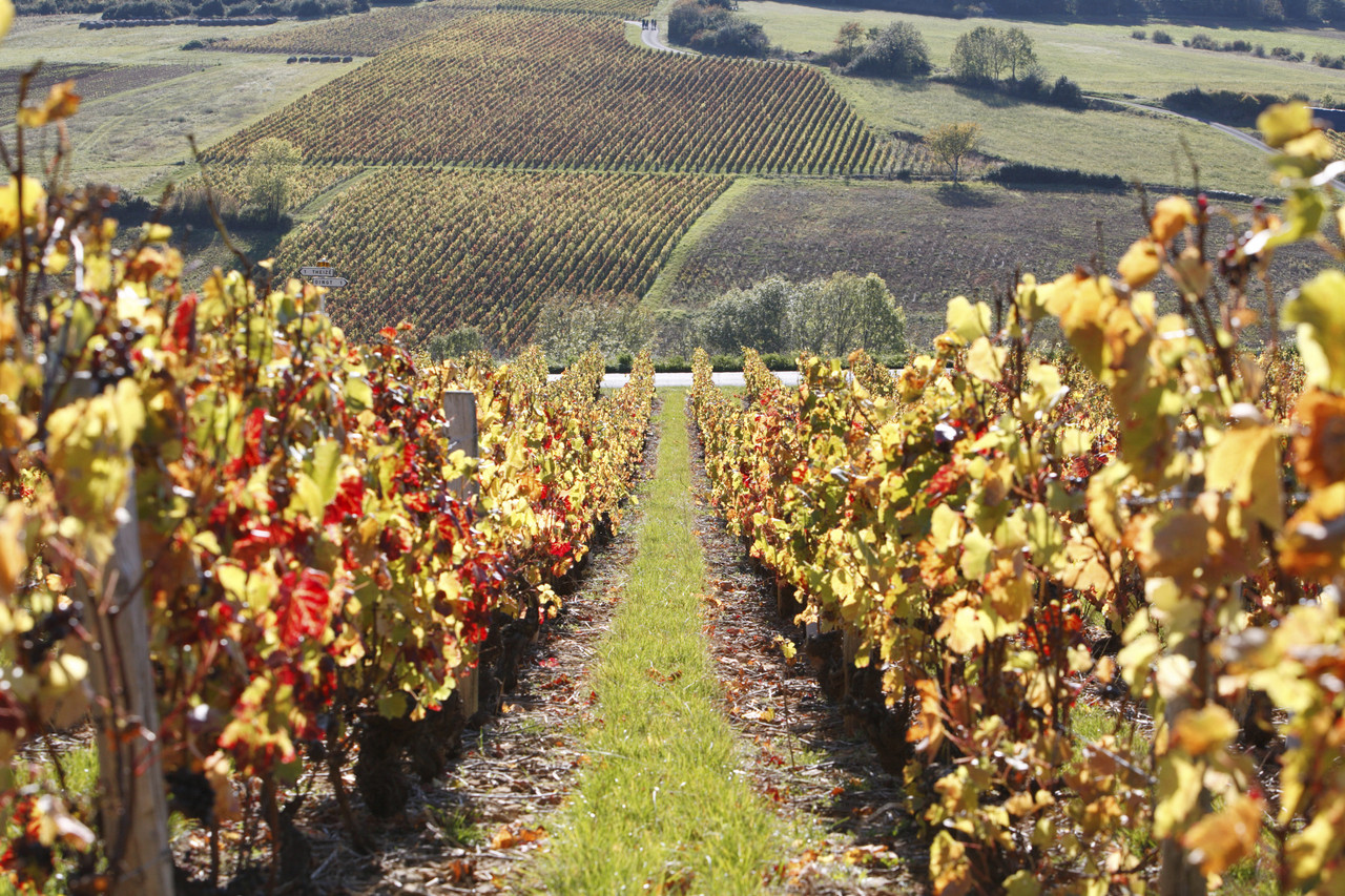 Tour des Vignobles Savoyards