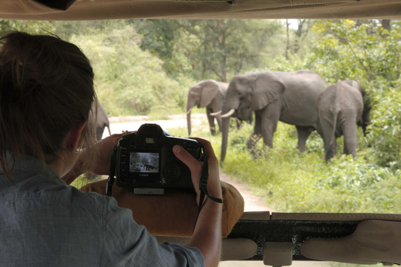 On a game drive