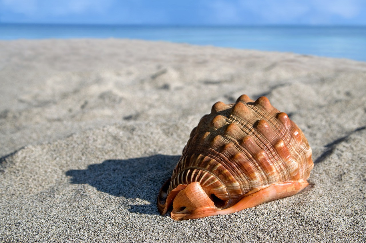 Discover the Pearl of the Indian Ocean: Complete Sri Lanka Tour