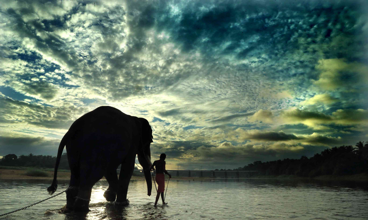 Voyage en famille : Nature, Éléphants et Sentiers