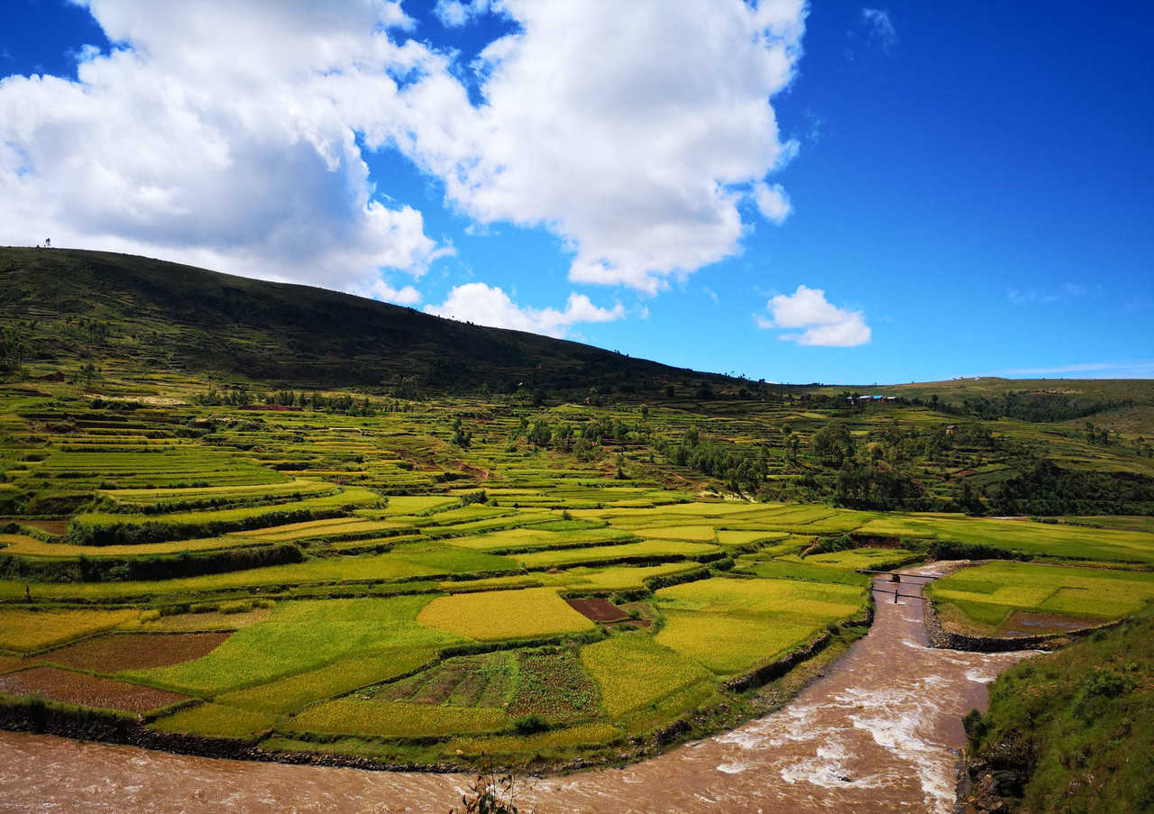 Le Grand Sud de Madagascar