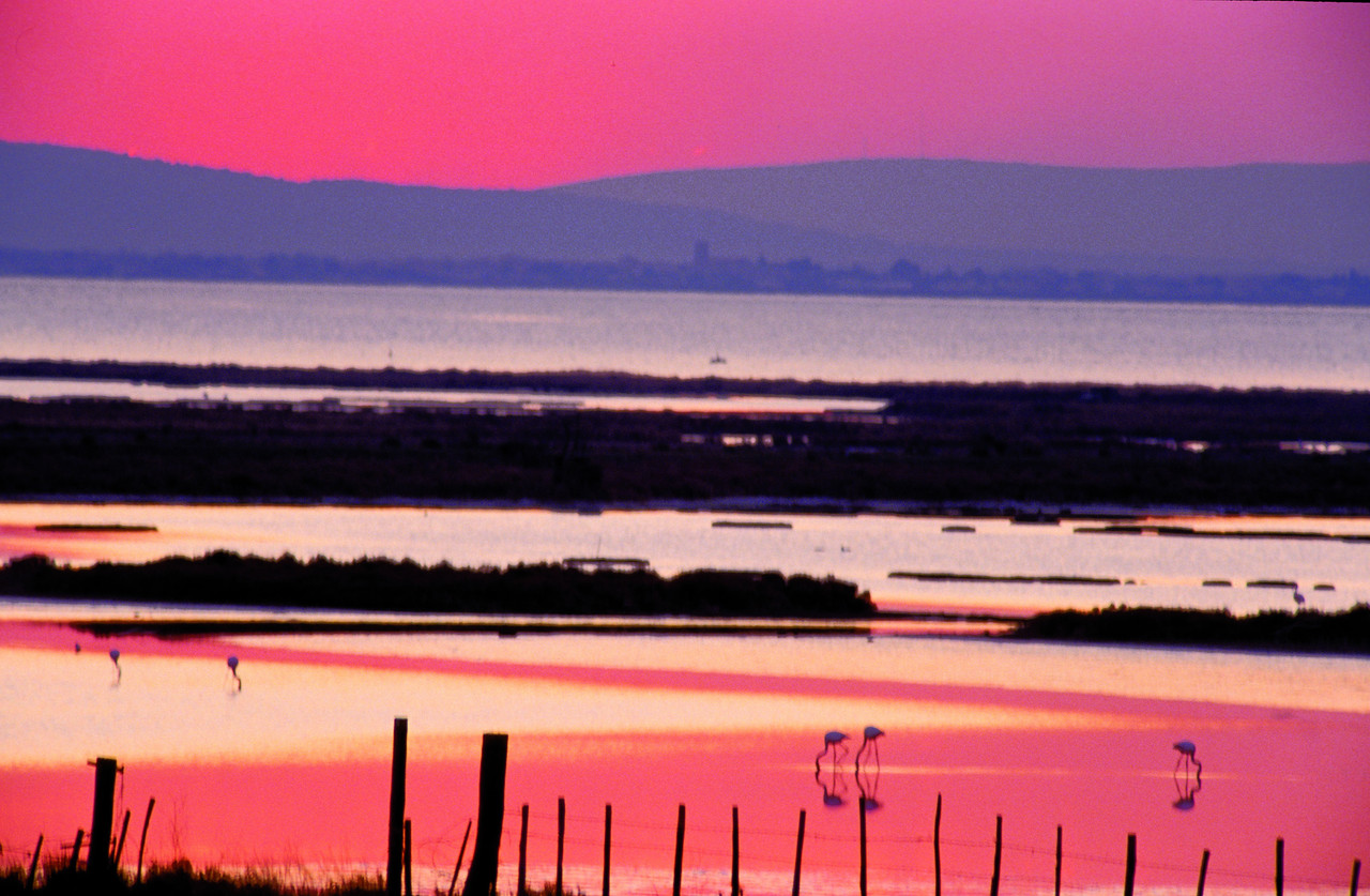 Road trip de la Camargue au Luberon