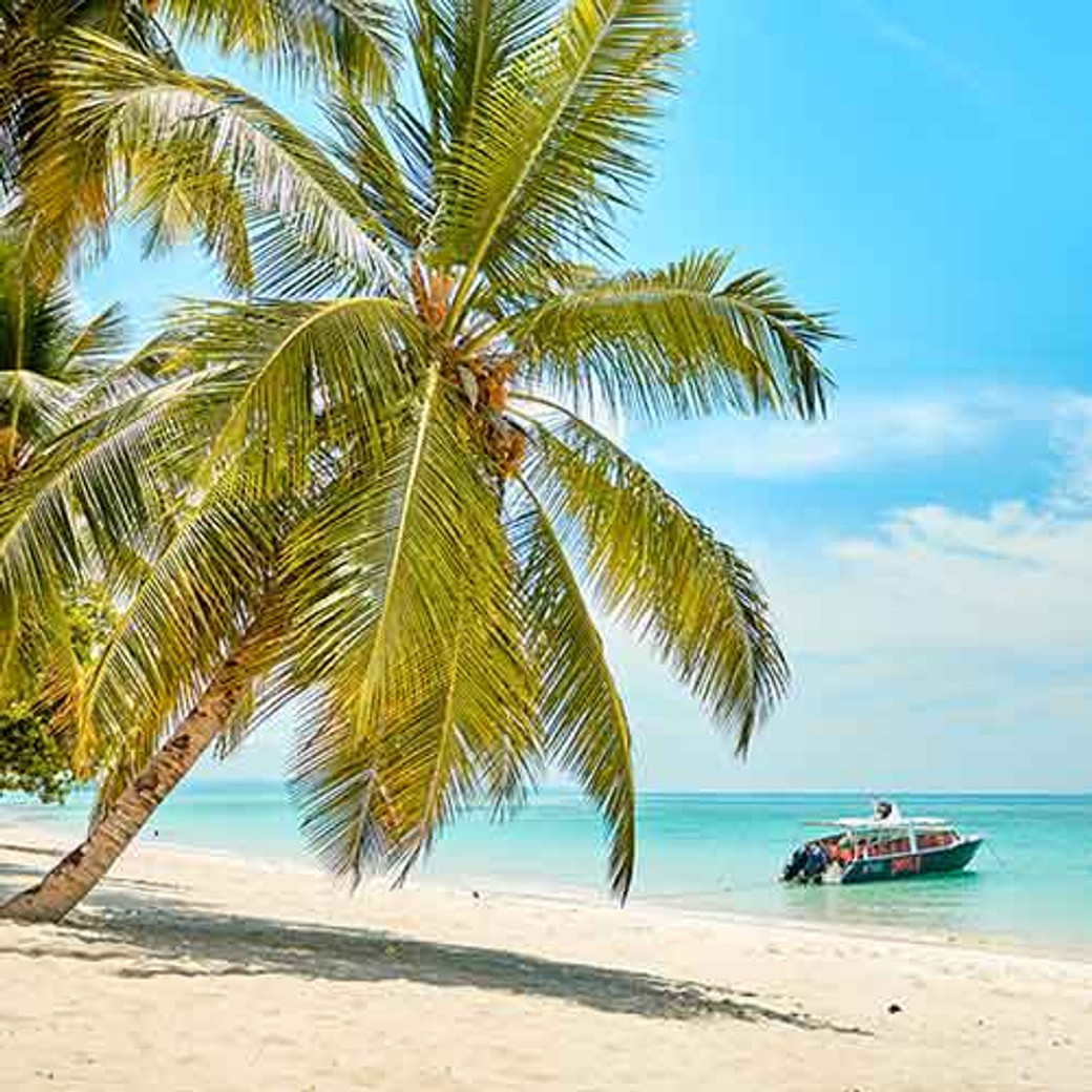 Le nord de Madagascar en 11 jours