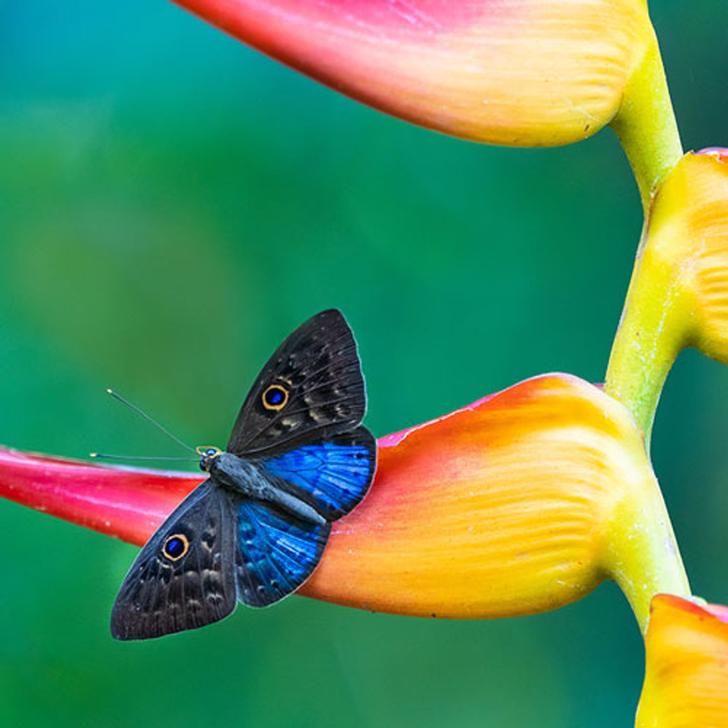 Voyage en famille au Costa Rica