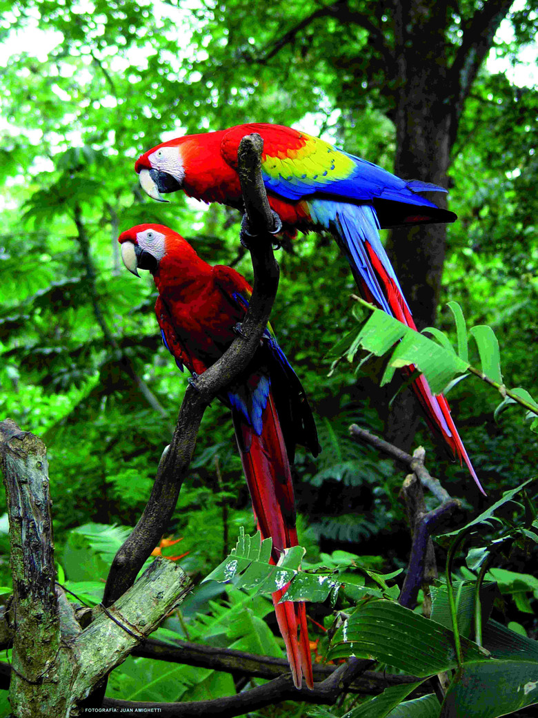 Merveilles naturelles du Costa Rica