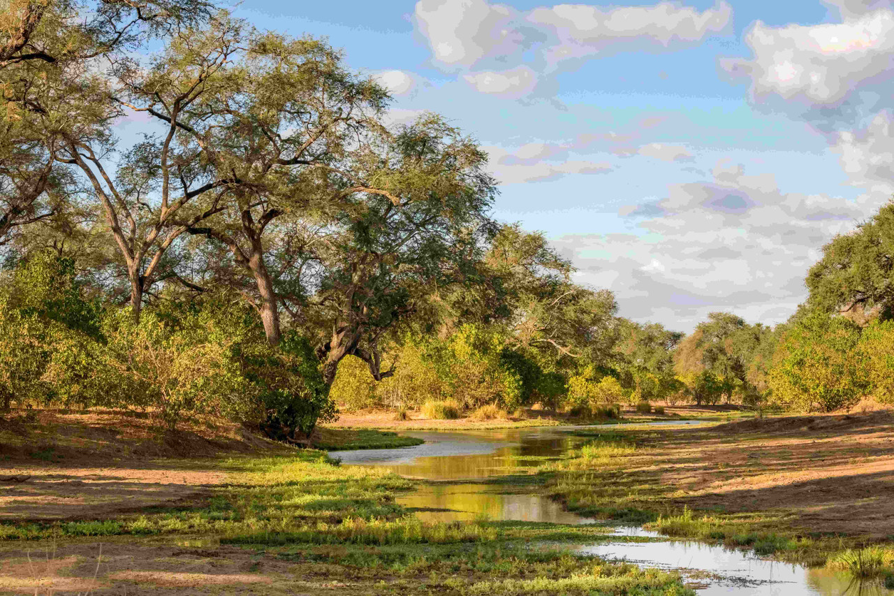 Circuit guidé - Les essentiels du Zimbabwe