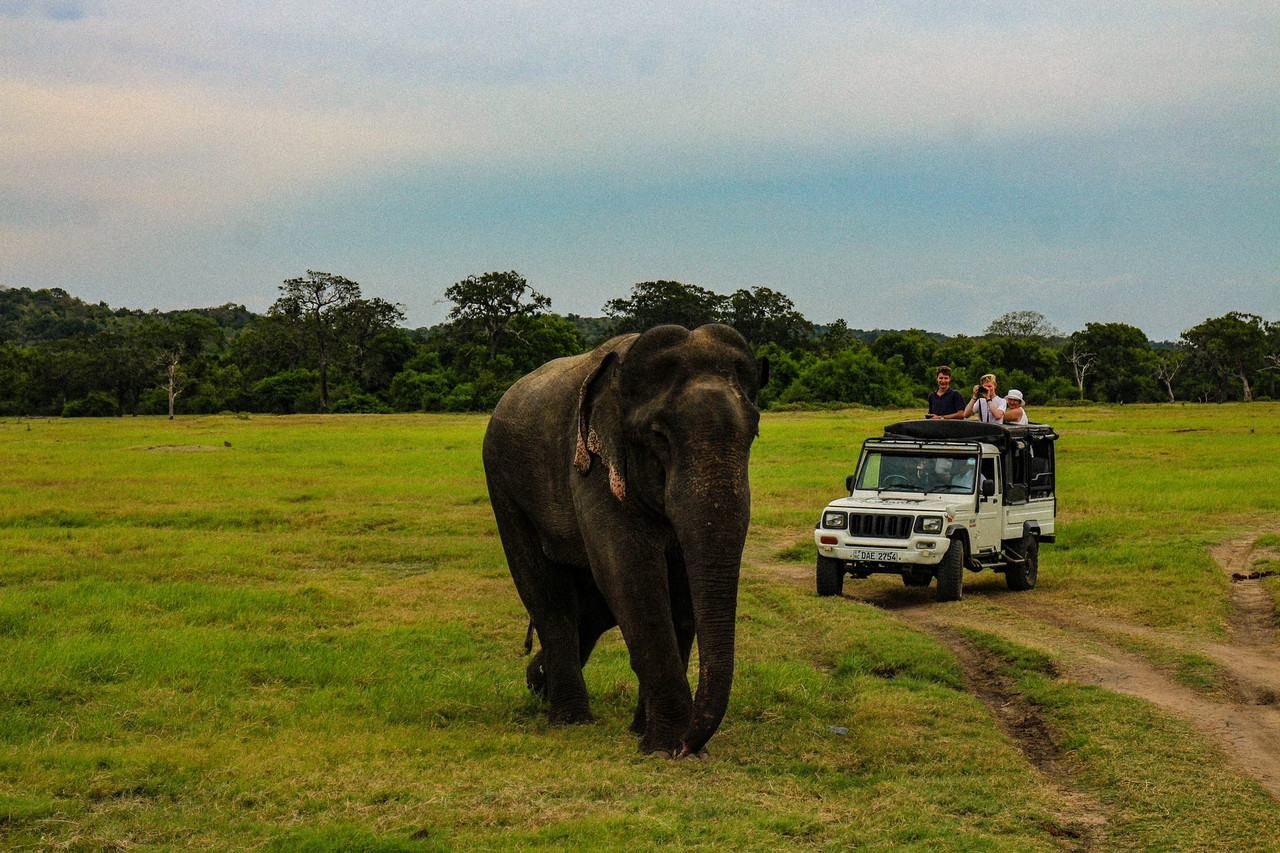 Voyage en famille au Sri Lanka