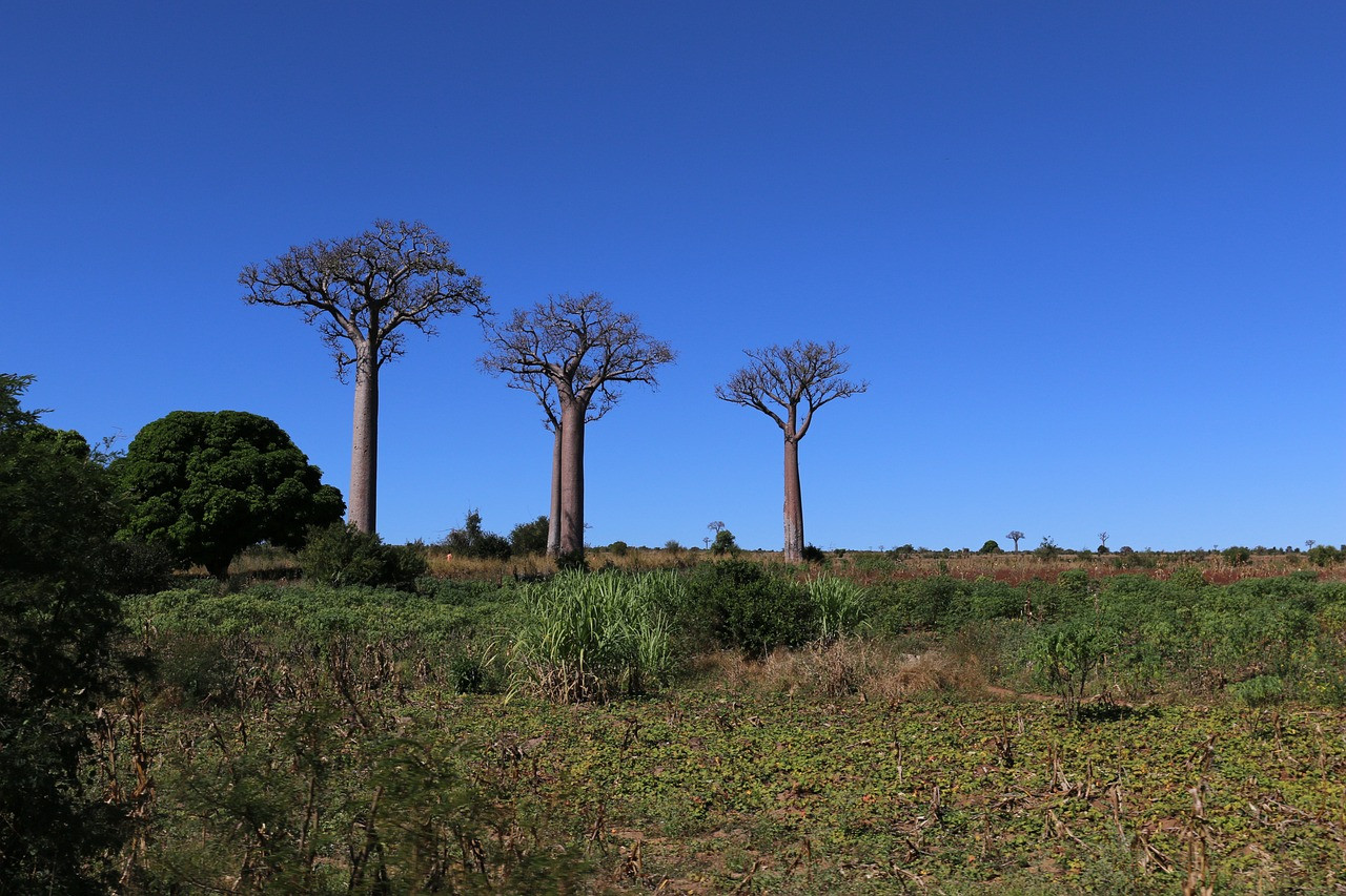 Le sud ouest de Madagascar dans son authenticité