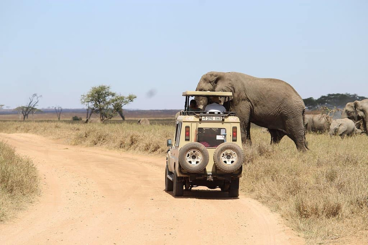Tanzanie Safari privé et Zanzibar