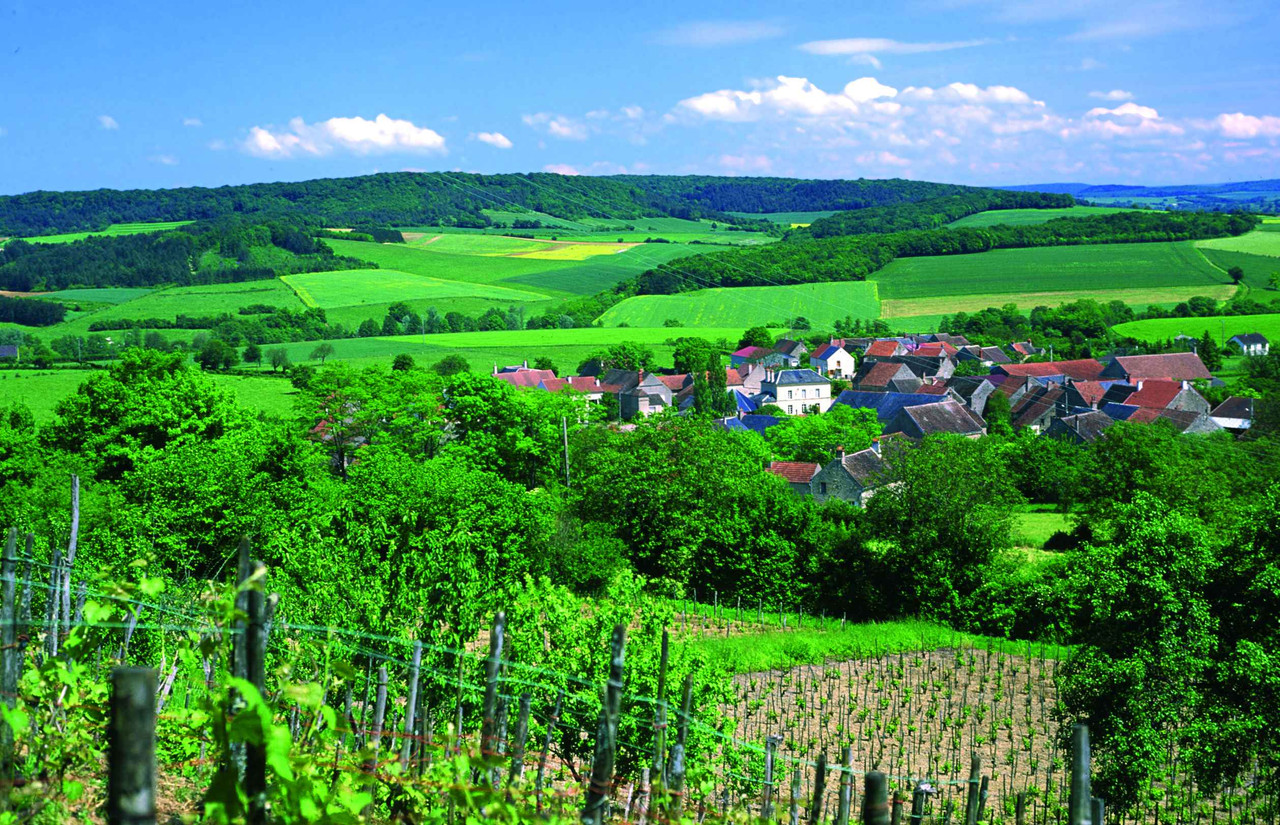 Retraite yoga Parents-Enfants dans le Morvan