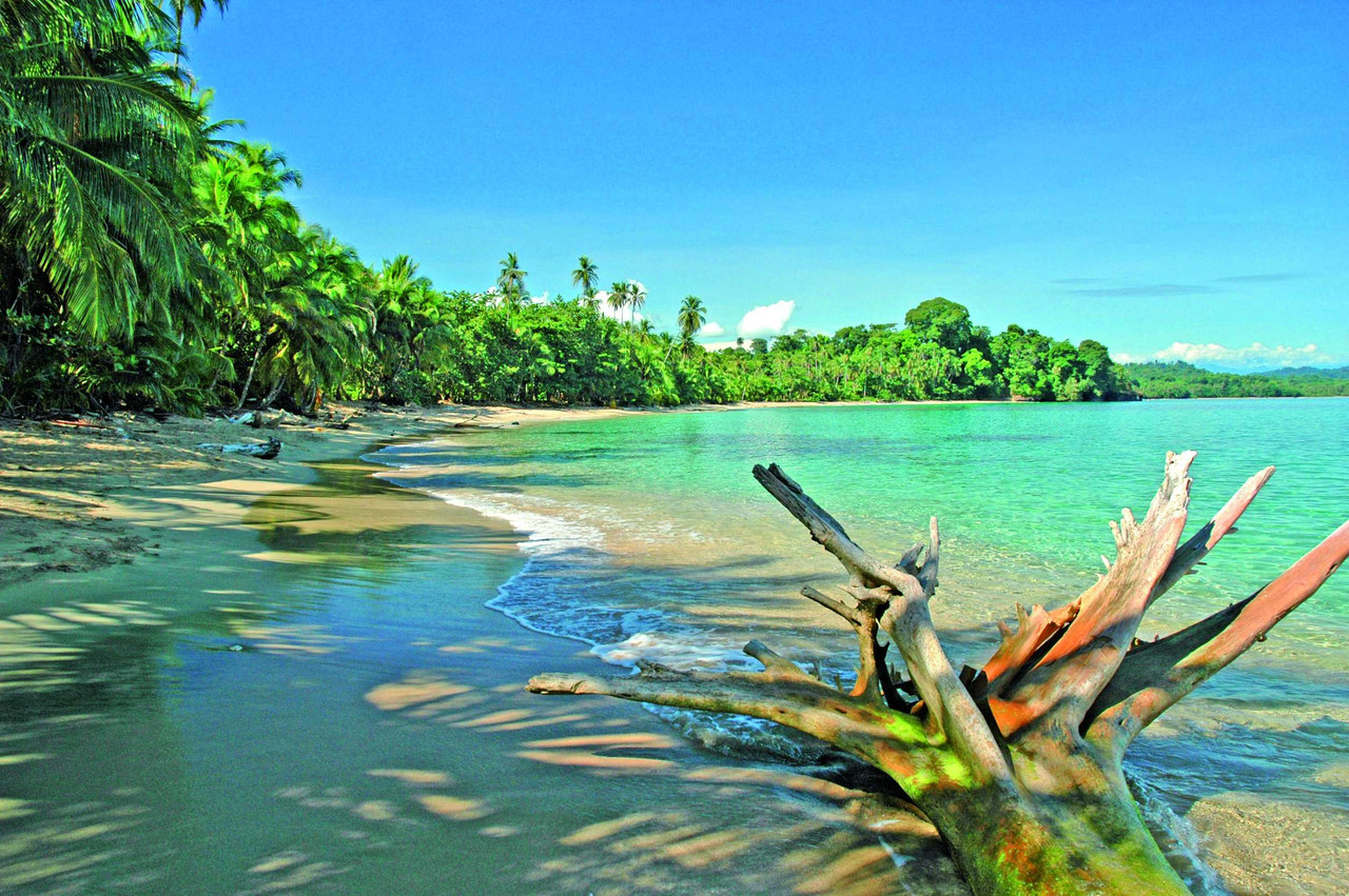 Luxe et intimité au Paradis Vert