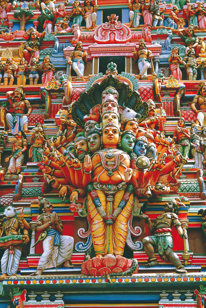 17 jours à la découverte du Sri Lanka authentique