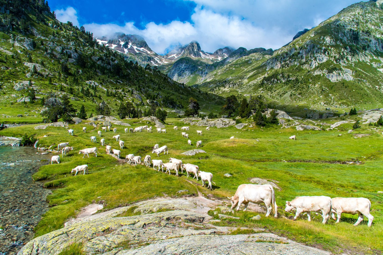 Réveillon en Raquettes dans les Pyrénées