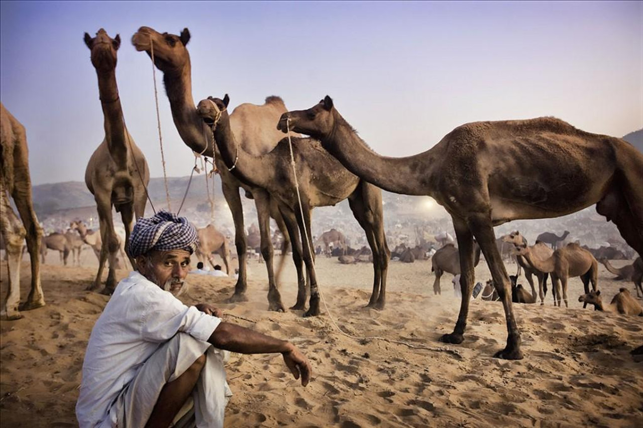 Gloire Rajput et majesté moghole : un voyage inoubliable en Inde