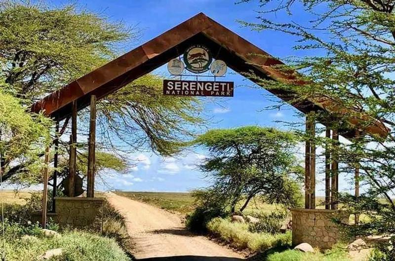 Aventure tanzanienne : 10 jours au cœur de la faune africaine