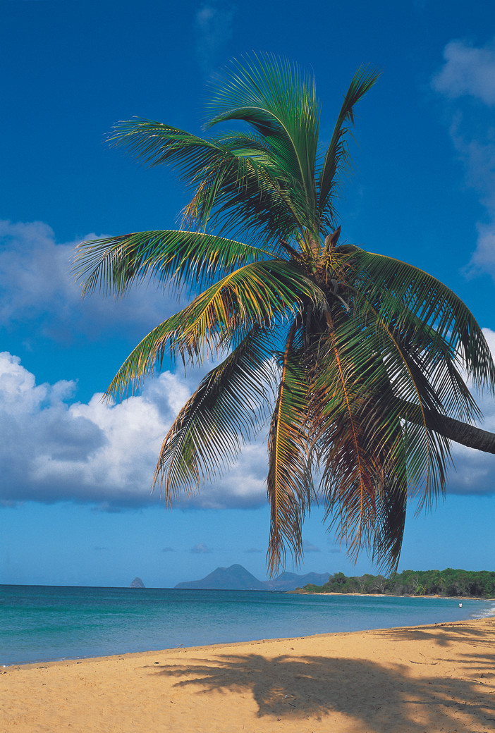 Parenthèse au paradis : séjour de charme sur une île tropicale privée