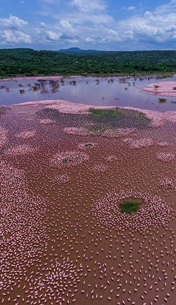 Nakuru-Lake Bogoria Day Trip