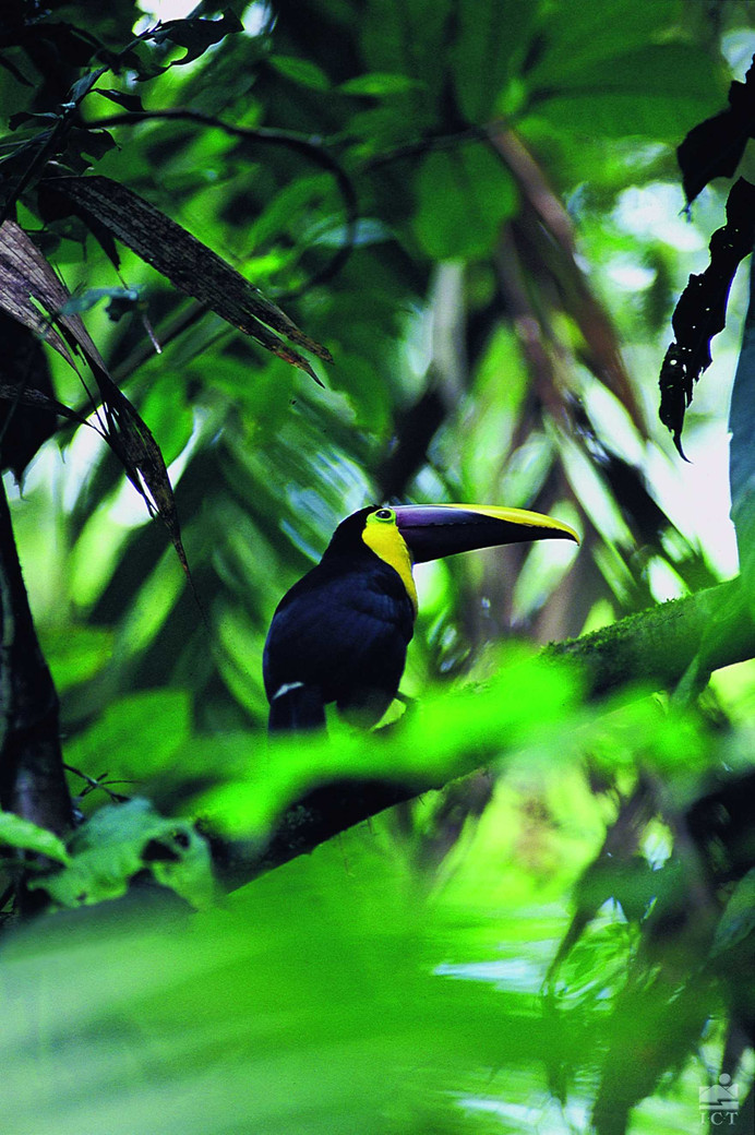 Au plus proche de la nature du Costa Rica et des locaux