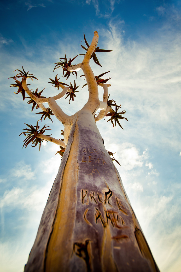 Les essentiels de la Namibie