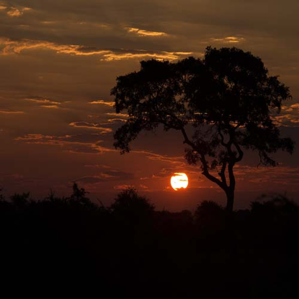L'Essentiel de l'Afrique du Sud