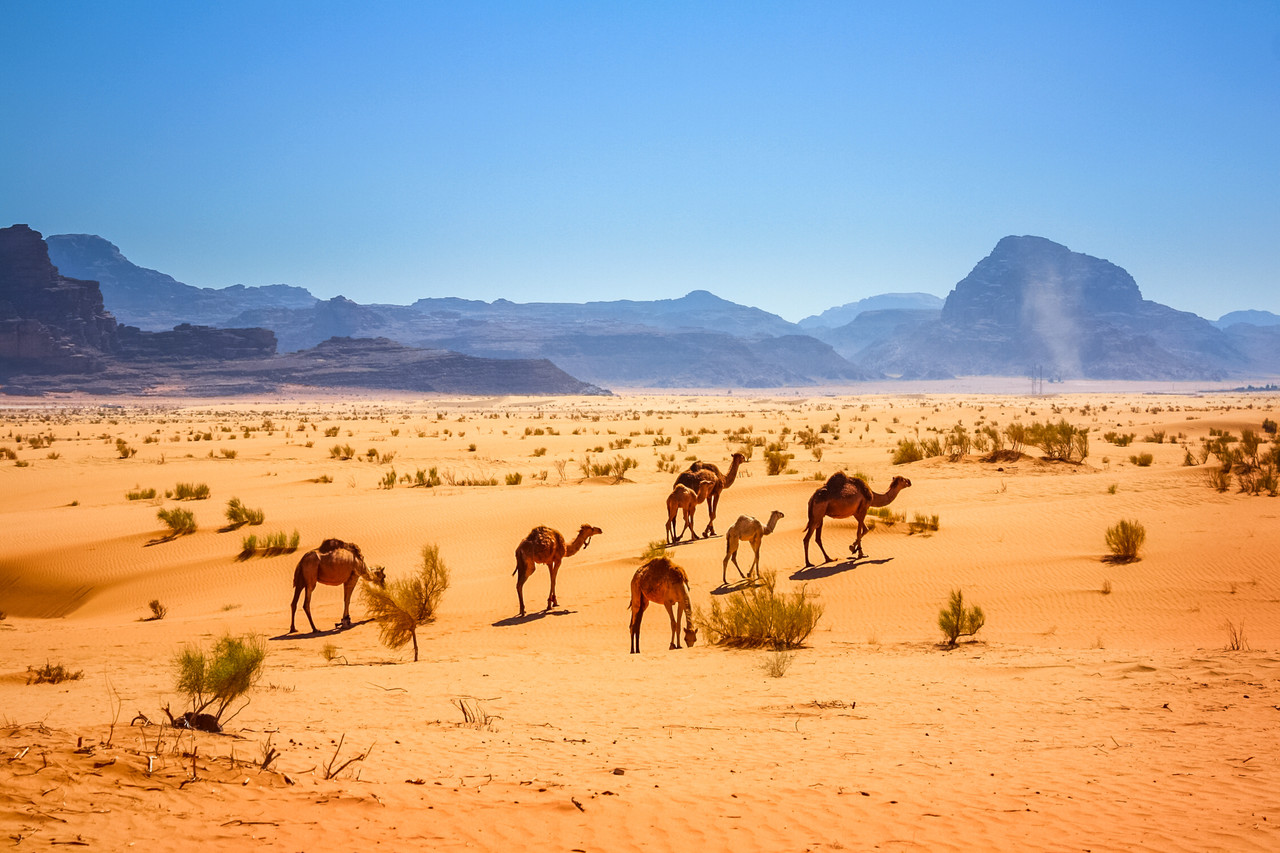 Culture et loisir en Jordanie