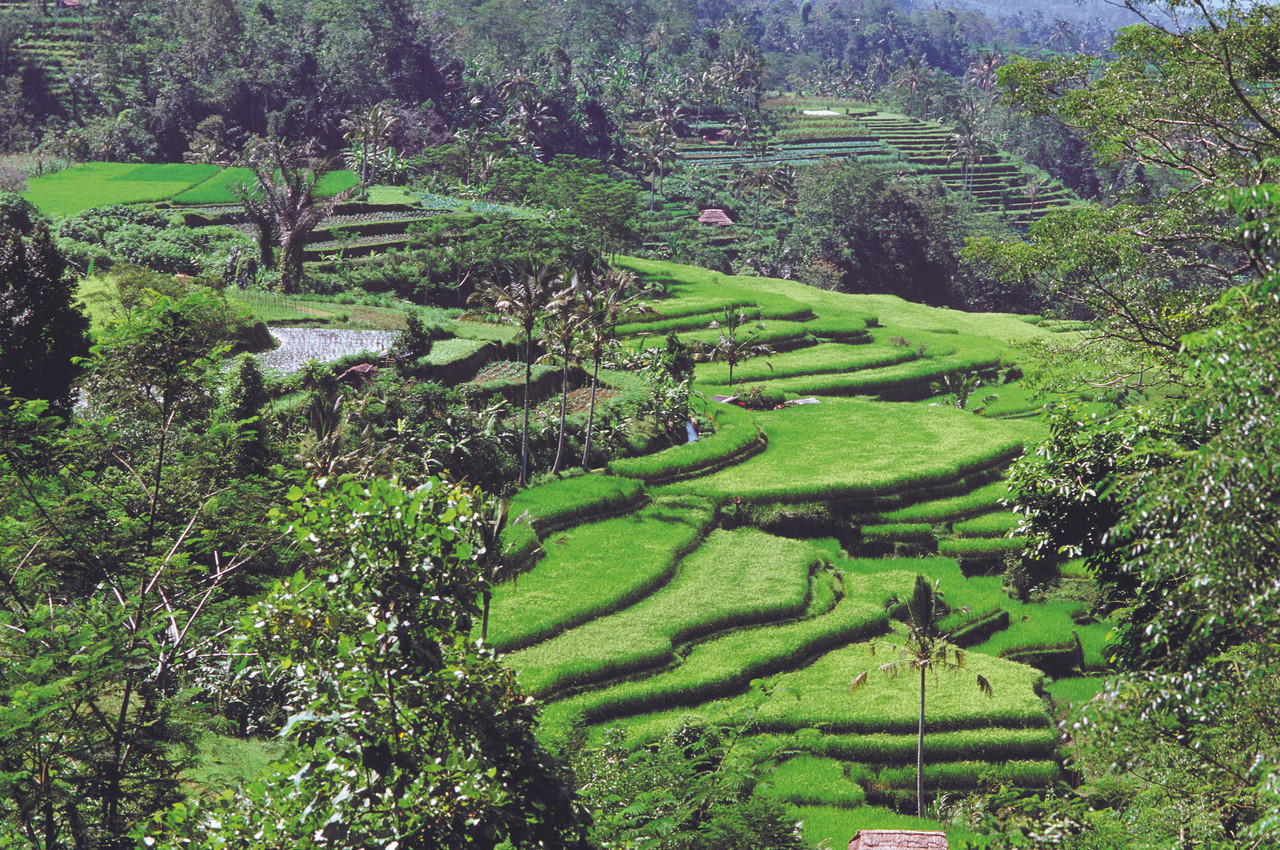 Découverte authentique de Bali en mode slow travel
