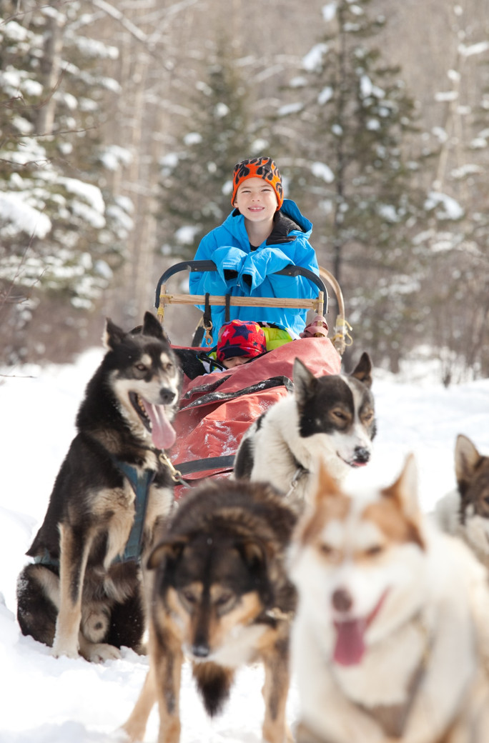 Survie avec un musher sur les traces de Jack London