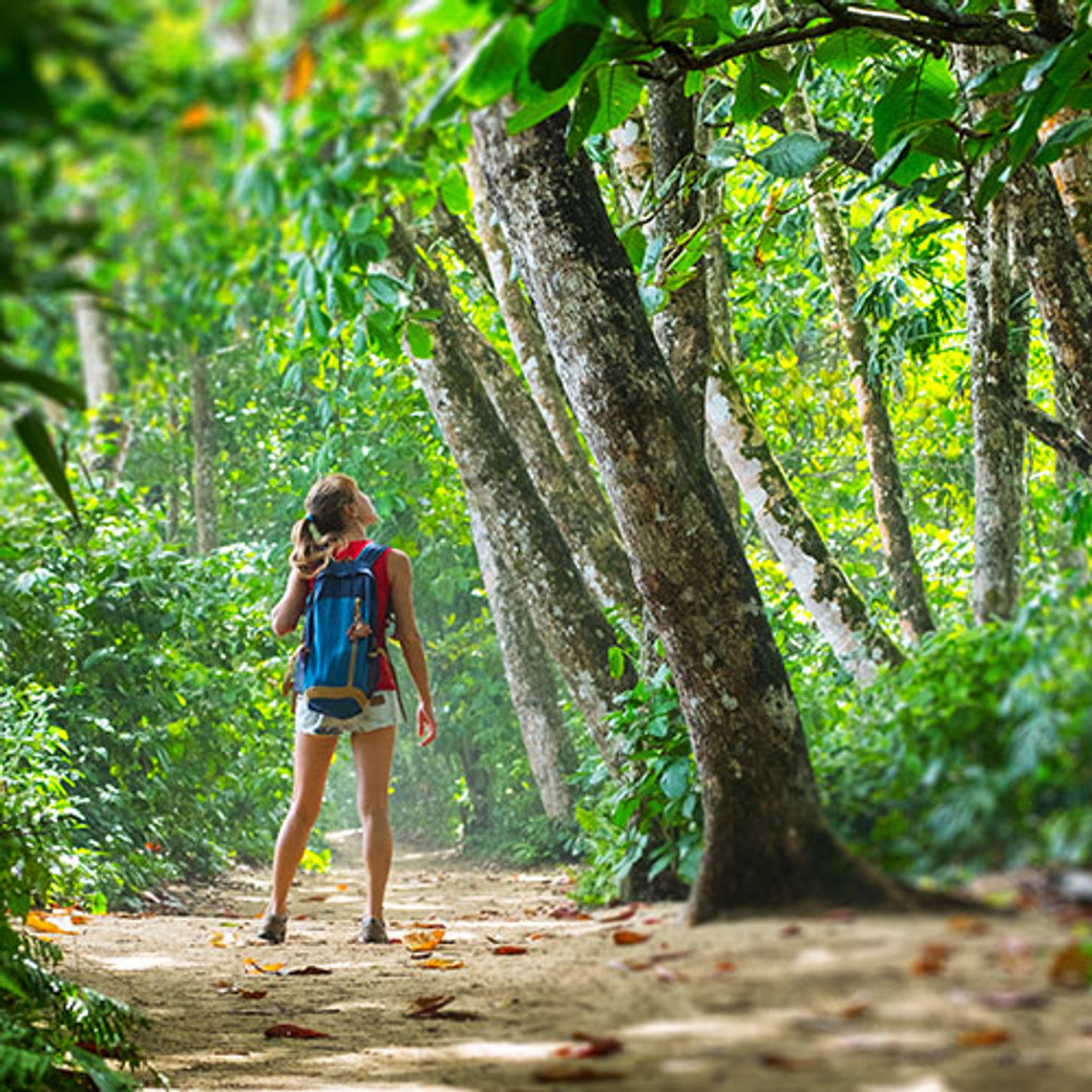 Voyage d'aventure au Costa Rica