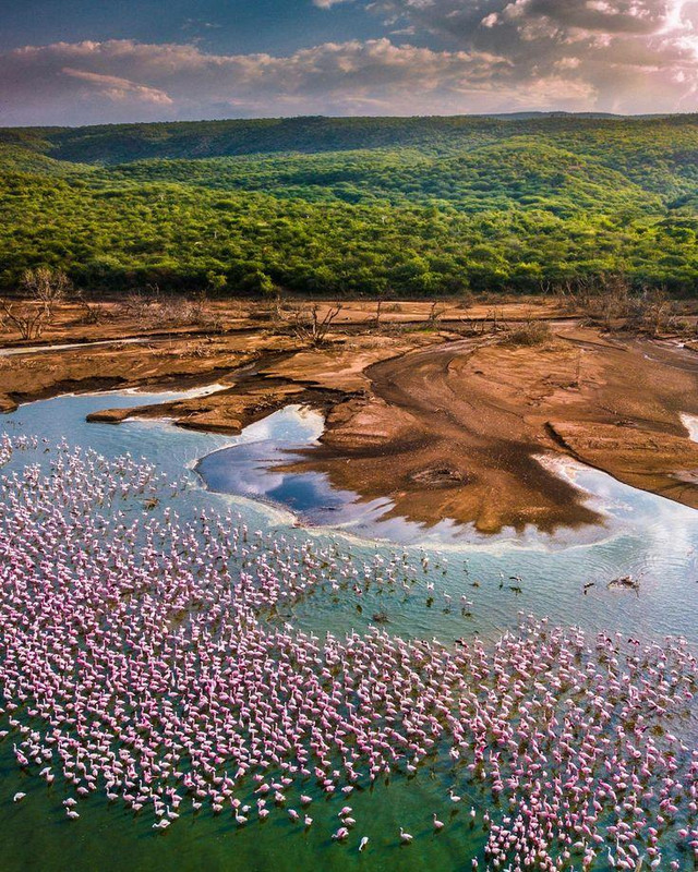 Nakuru-Lake Bogoria Day Trip